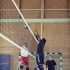 Goldelsencup H2 2013 web (113 von 380)